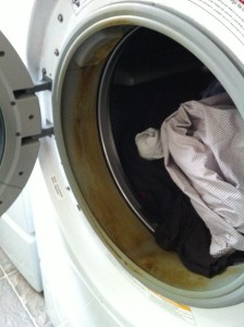Stinky Washing Machine